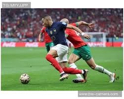 亚利桑那响尾蛇队 2025 年宣布将在凤凰城市中心建设全新的训练设施